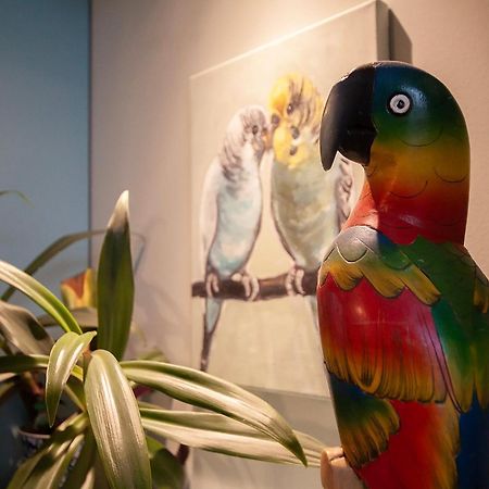 Apartament U Olechny 5 Bydgoszcz Zewnętrze zdjęcie