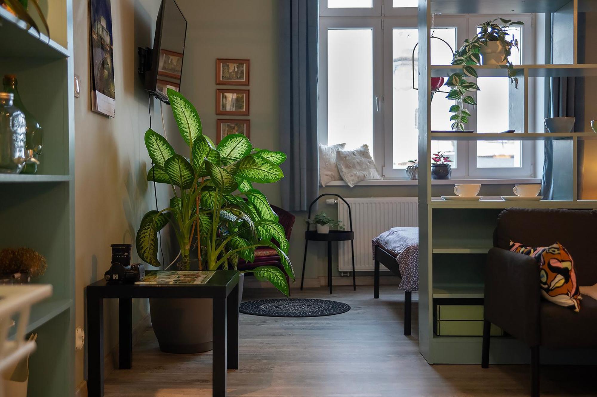 Apartament U Olechny 5 Bydgoszcz Zewnętrze zdjęcie